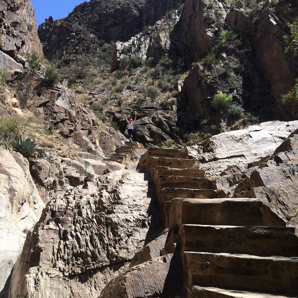 Meet your Posher, Mallory